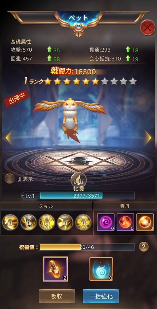 ペット