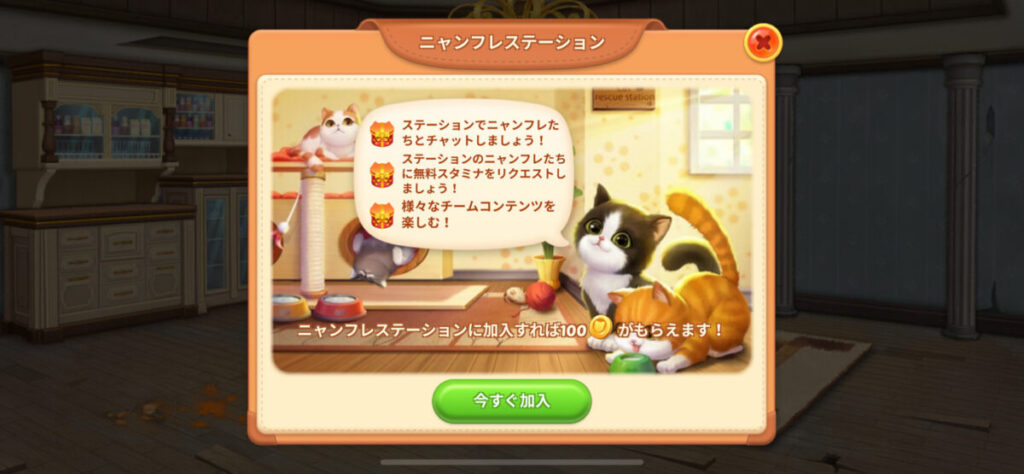 ニャンフレステーションに加入してみよう!